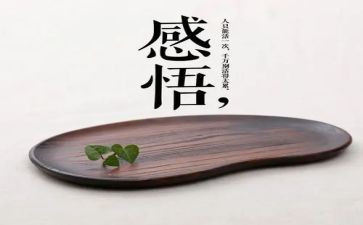 个人会计试用期工作总结7篇
