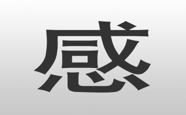 小学教研组计划工作计划8篇