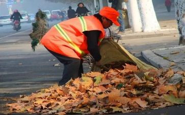 环卫工作汇报总结6篇