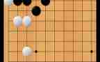 2024年围棋协会工作总结5篇