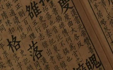 文学社团活动总结8篇