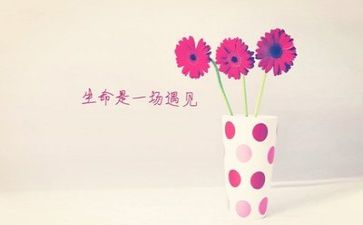 2023年网络研修培训心得5篇