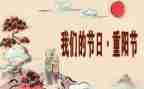 幼儿园我们的节日春节活动总结5篇