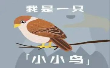 我是一只小鸟200的作文5篇