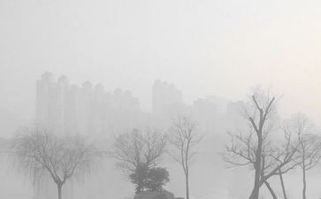 保险客服工作总结范文6篇