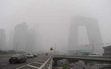 招就科述职报告模板6篇