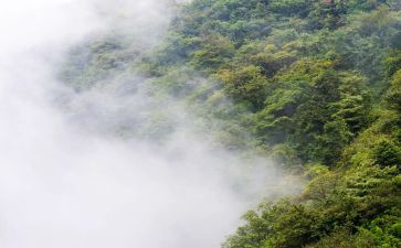 个人总结季度范文5篇