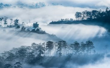 ?w雾都孤儿读后感最新5篇