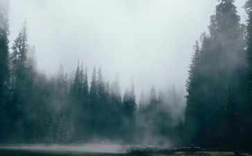雾都孤儿读后感作文5篇
