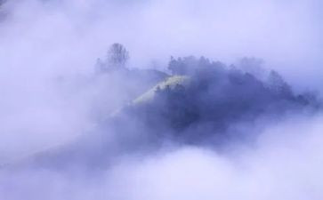 关于雾的科学教案精选6篇