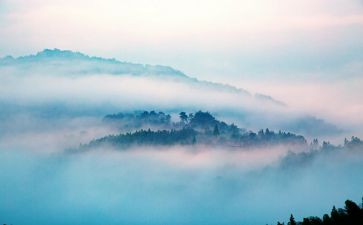 神秘的雾作文通用6篇