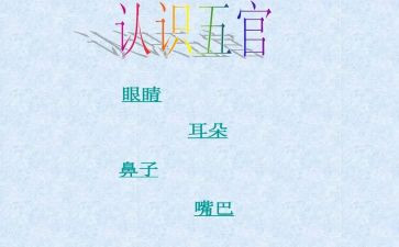 119消防宣传心得参考7篇