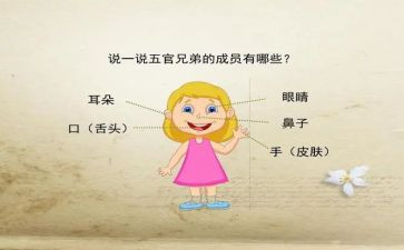 幼儿五官的教案6篇