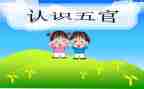 学五官的心得体会6篇