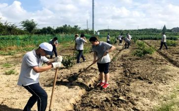 2022年教师节讲话稿7篇