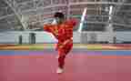 2022武术工作总结8篇