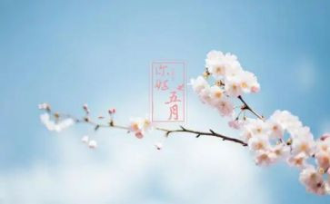 幼儿园五月教师工作总结5篇