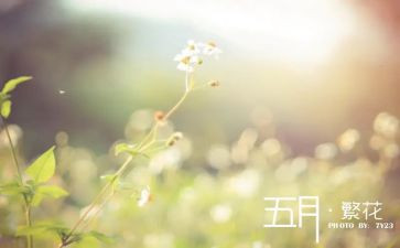 五月的红演讲稿通用8篇