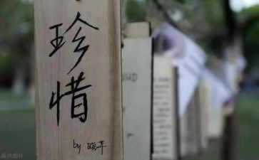 珍惜粮食的作文8篇