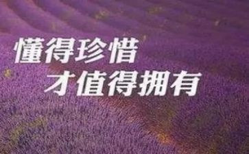 有关珍惜的作文7篇