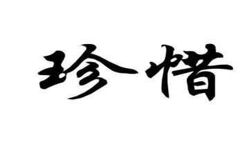 珍惜粮食的活动总结7篇