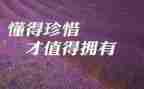 有关珍惜的作文7篇