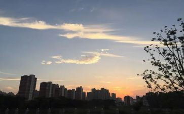 20年后回故乡作文最新7篇