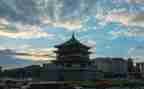 与花有关的作文500字模板6篇