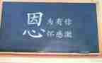 个人工作总结及述职6篇