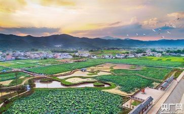2023青年演讲稿优秀7篇