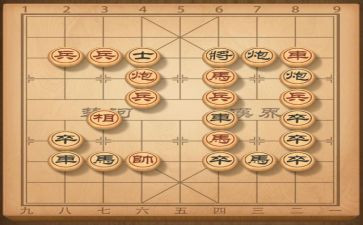 关于学象棋的作文7篇