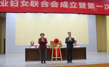 乡镇妇联2024年工作总结6篇