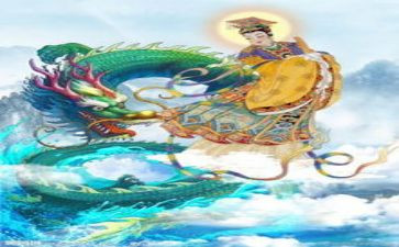 观察仙人球的作文8篇