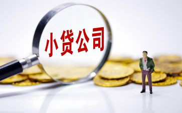 《人类简史》心得体会8篇
