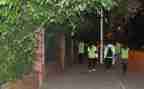 小学学校工作总结2022秋季6篇