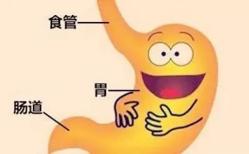 消化心内科心得体会7篇