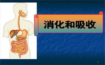 消化科护士工作总结5篇