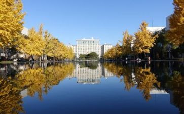 校内自我鉴定7篇