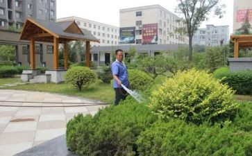 小区物业年终工作总结范文6篇
