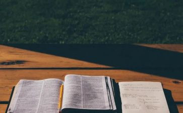 小说洞的读后感参考7篇