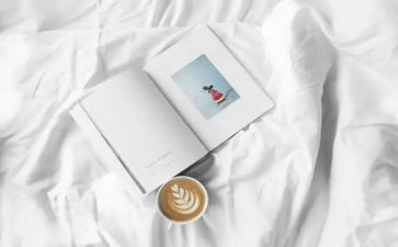 小说洞的读后感5篇