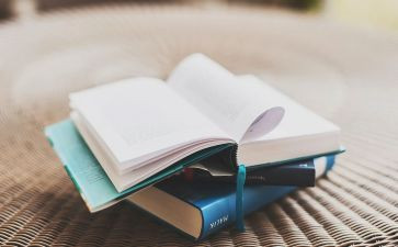 小说读后感600字7篇