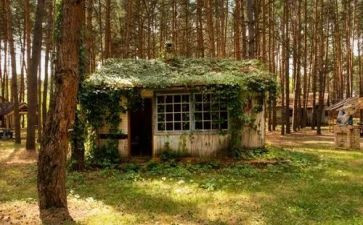 大班语言快乐小屋教案5篇