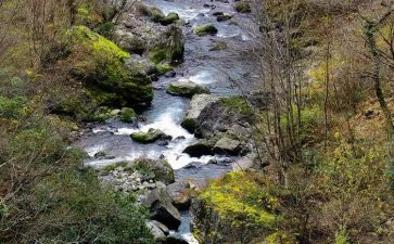 读小溪流读后感5篇