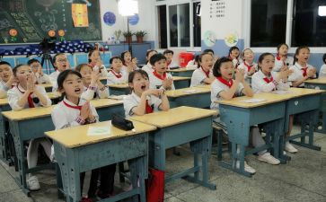 我的小学作文8篇
