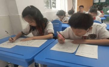 2023学生个人总结7篇