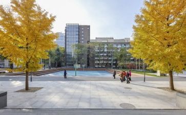 一年级下学期学期工作计划5篇