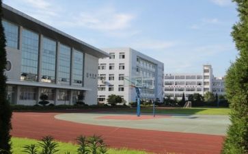 关于校园安全的作文参考6篇