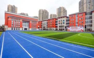 校园贷的心得体会参考6篇