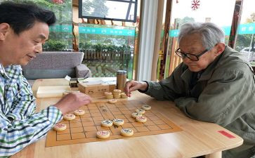 下棋的作文300字8篇